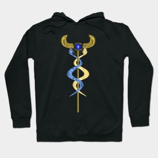 Orisha Inle Healing Staff Hoodie